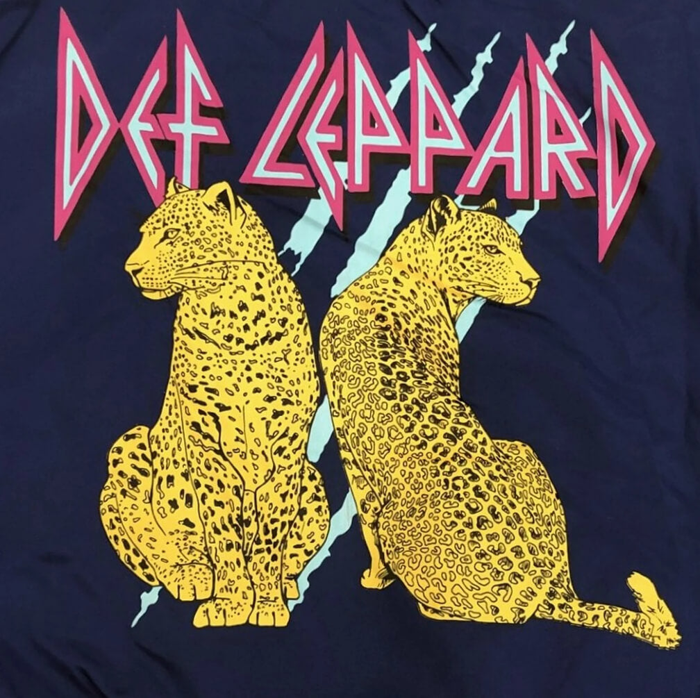 Def Leppard Girls’ Bomber Jacket – Varsity Style with Colorful Graphics & Zip Front by Def Leopard