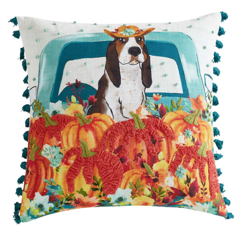 Pioneer Woman Decorative Throw Pillow – 18" x 18" Cotton Embroidered Accent Cushion by The Pioneer Woman