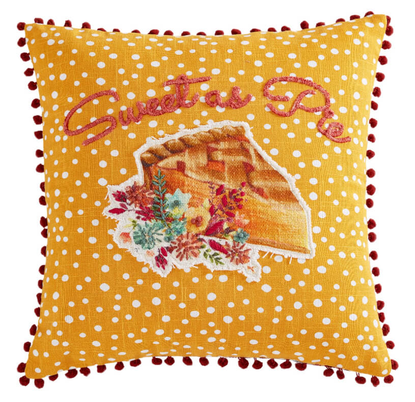 Pioneer Woman Decorative Throw Pillow – 18" x 18" Cotton Embroidered Accent Cushion by The Pioneer Woman